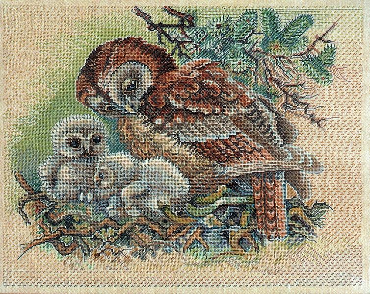 Owl with Chicks
