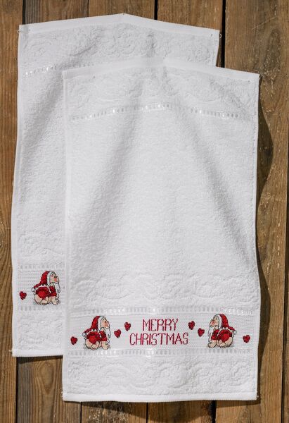 Pair of Hand Towels with Aida Areas