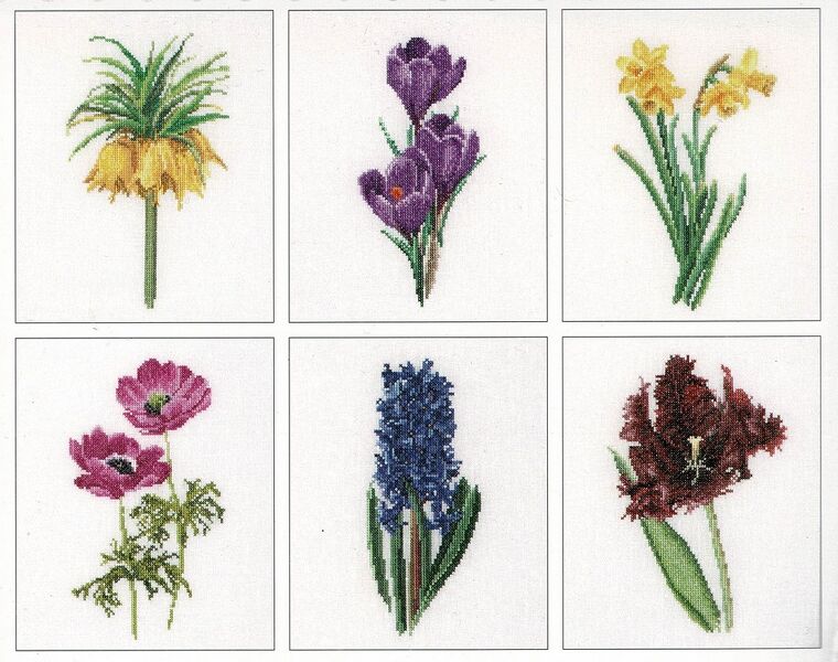 Six Floral Studies 3