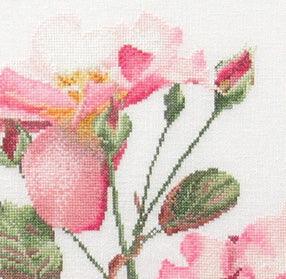 Rosa Leersum (view 2)
