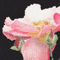 Rosa Leersum (view 4)