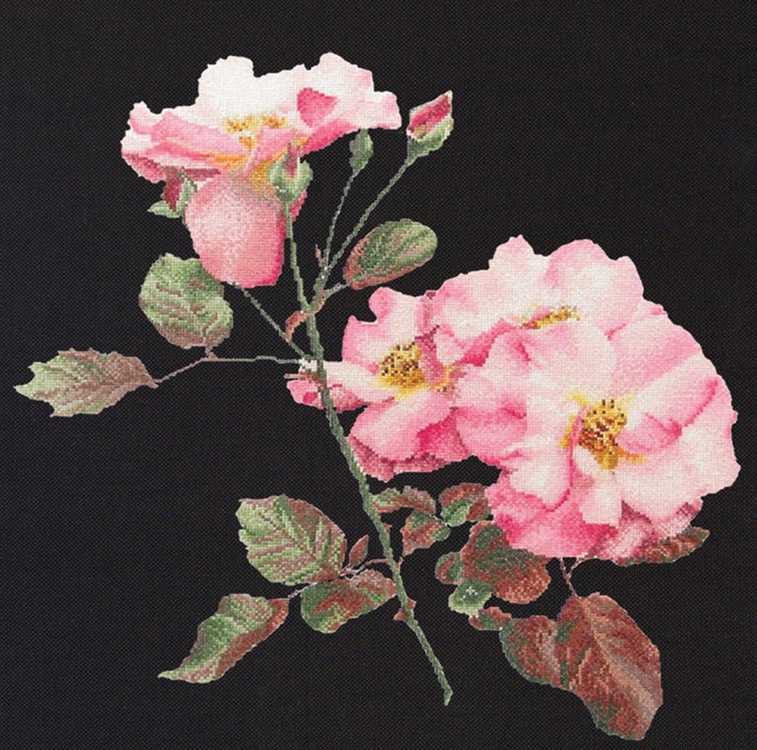 Rosa Leersum (view 5)