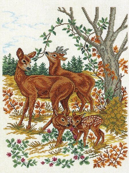 Deer and Fawns