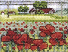 Field of Poppies