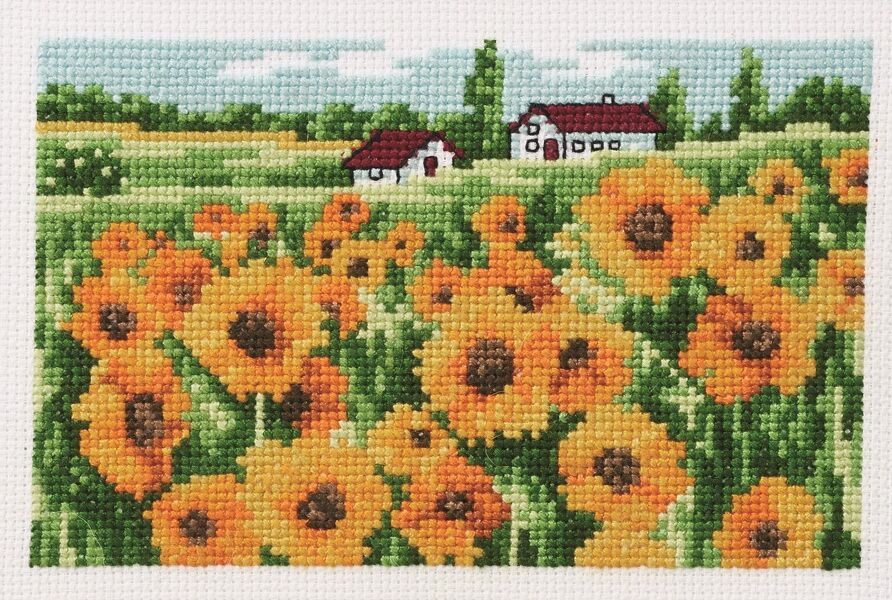 Sunflower Field