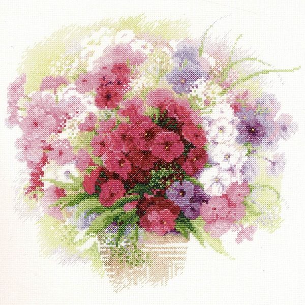 Watercolour Phlox