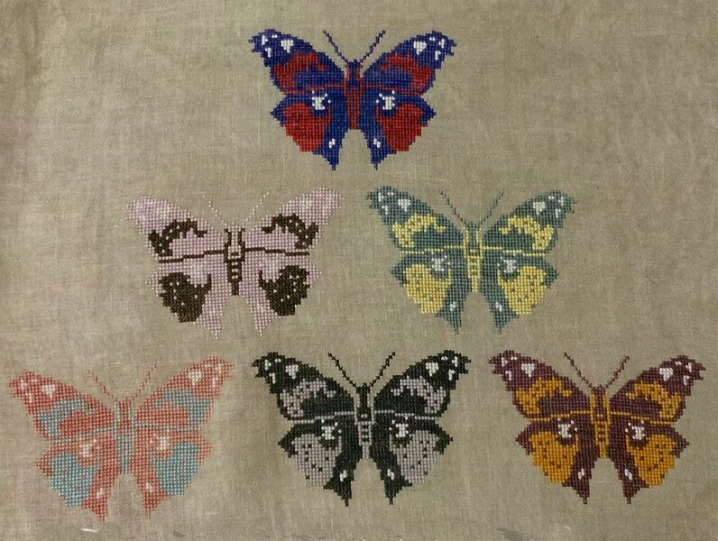 Butterfuly Study