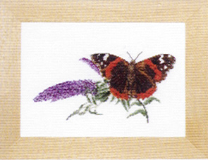 Red Admiral Butterfly and Buddlea