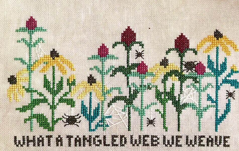 A Tangled Web