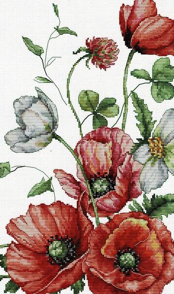 The Field Poppies