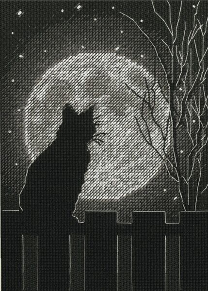 Black Moon Cat