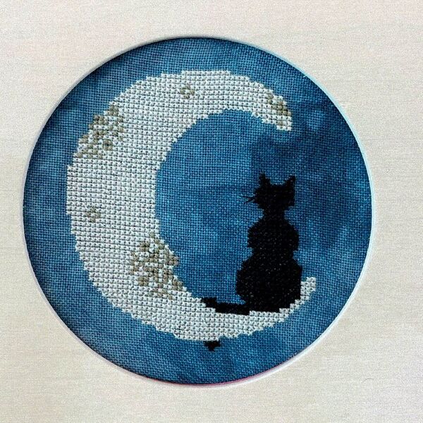 One Cat and a Moon