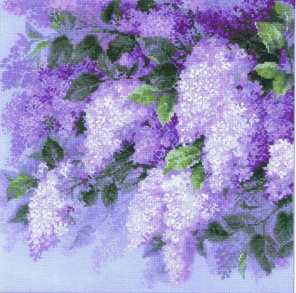 Lilacs after the Rain