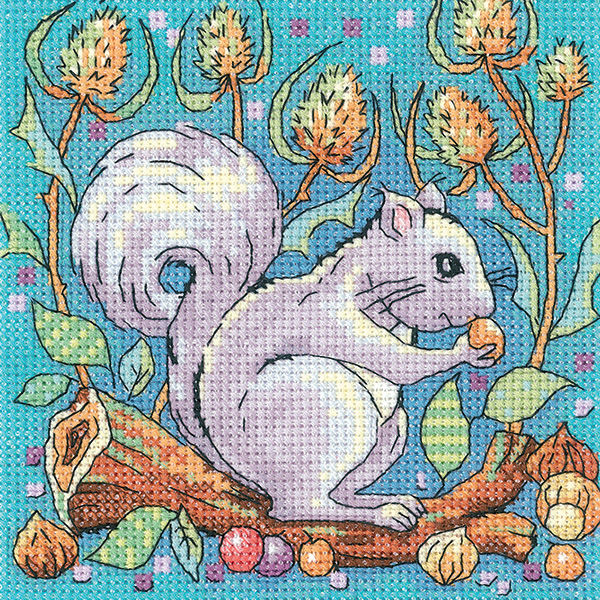 Grey Squirrel