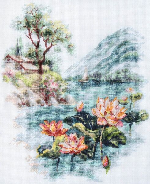 Blooming Lotuses 
