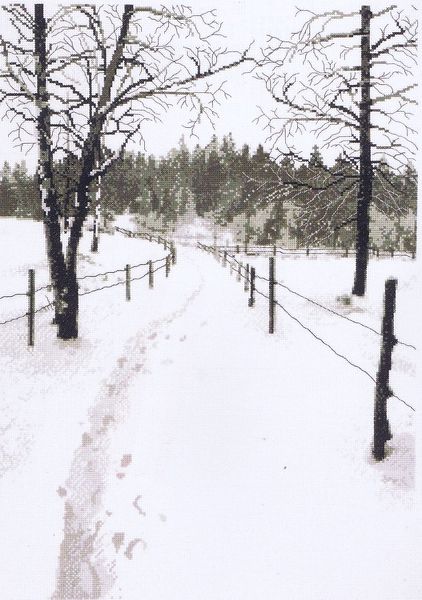 Footsteps in the Snow