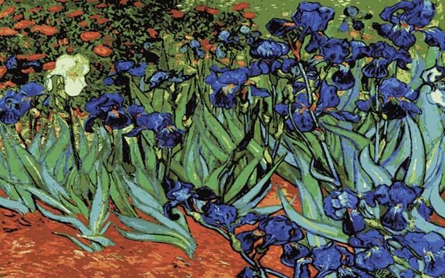 Irises after Vincent Van Gogh