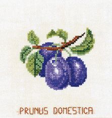 Plums