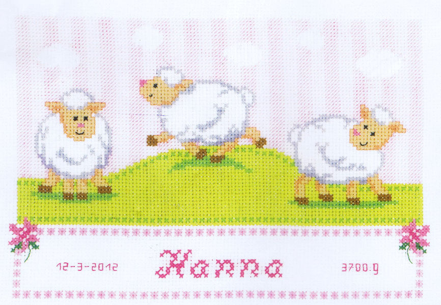 Sweet Little Lambs