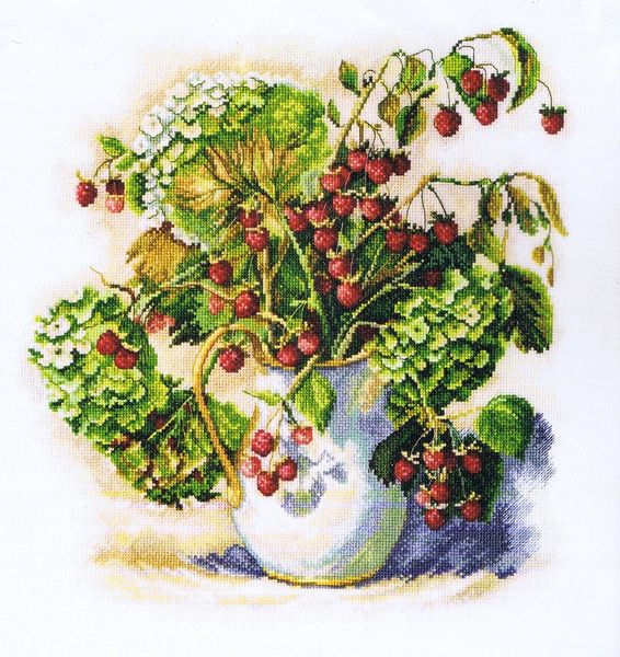 Hydrangea and Raspberry