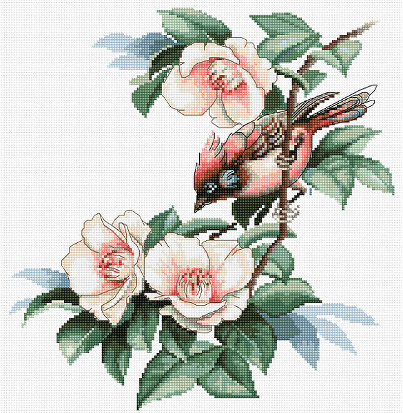 Bird in Camelia Flowers