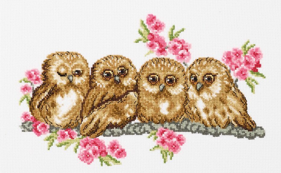 Owls