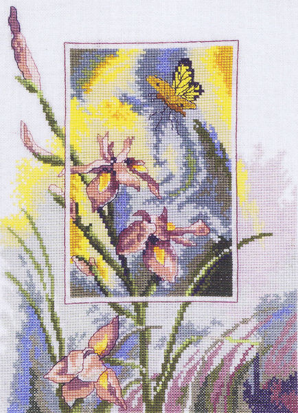 Pink Irises with Butterfly
