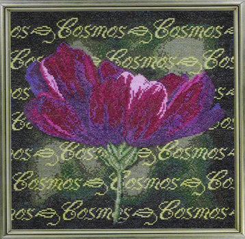 Cosmos