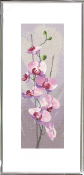 Orchid Panel