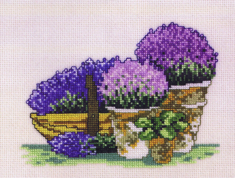 Purple Flowers in Pots
