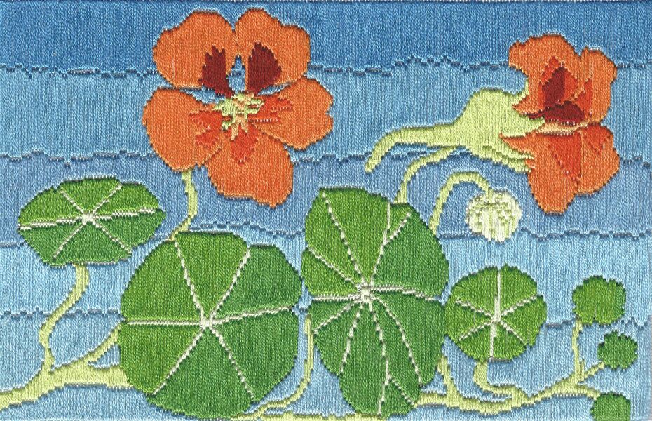 Nasturtiums