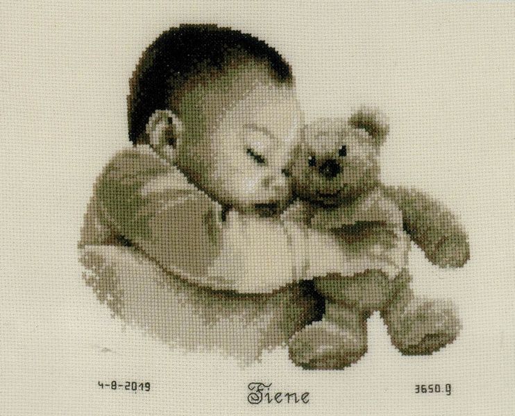 Baby and Bear Birth Record
