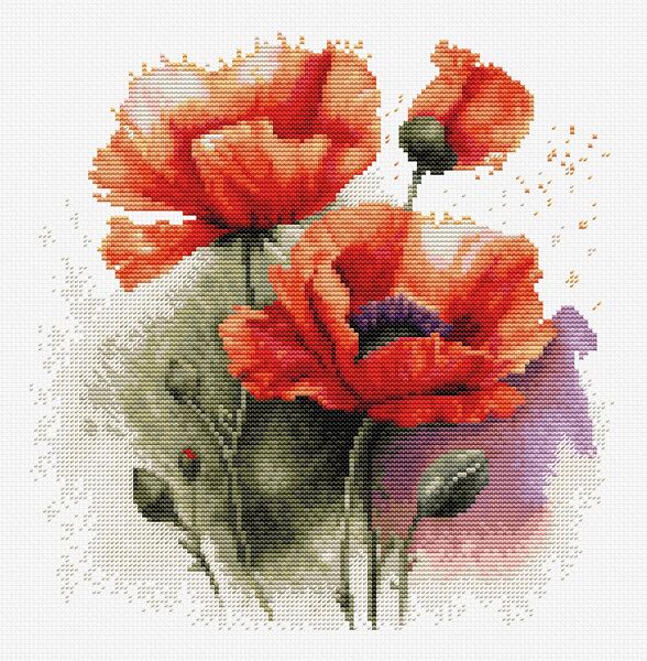 The Poppy Flowers