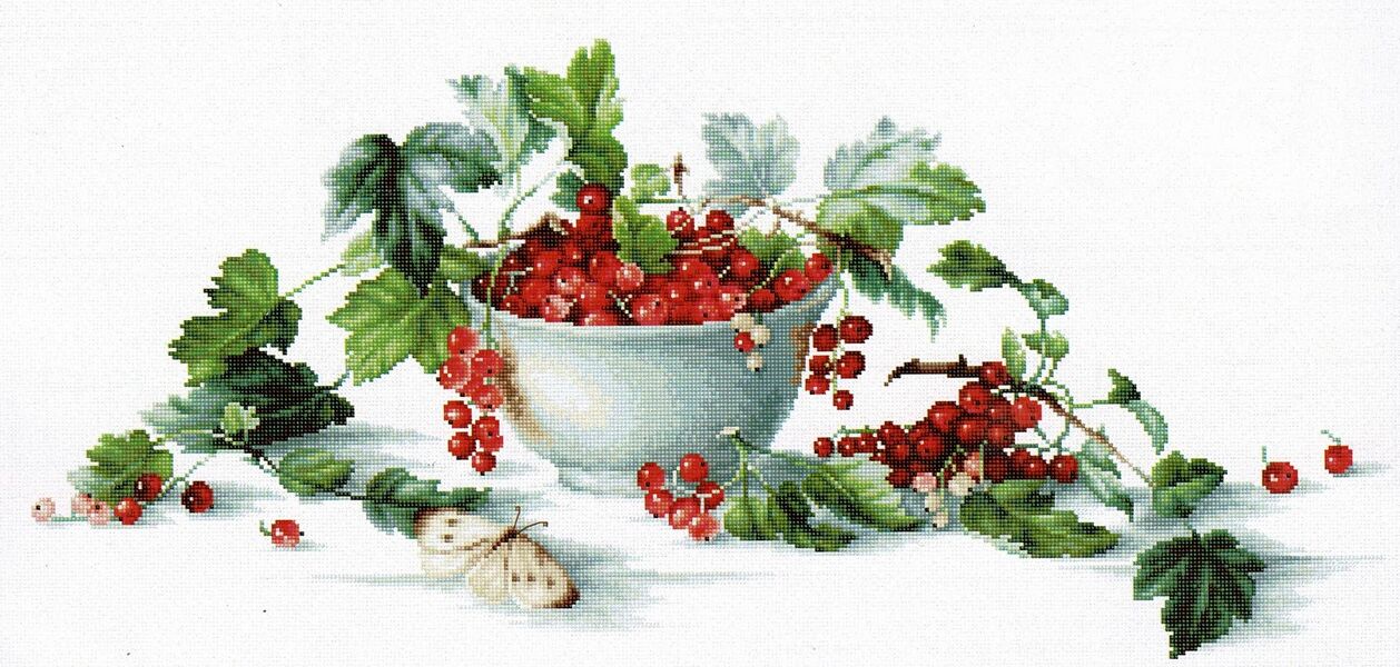 Red Currants