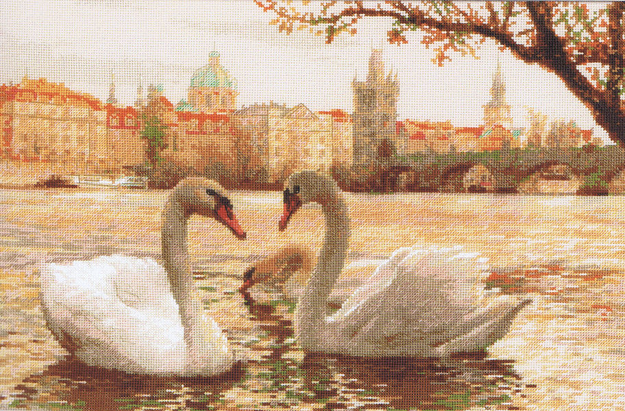 Swans Prague