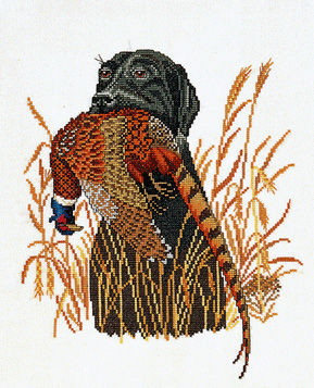 Labrador with Pheasant