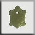 Turtle Treasure