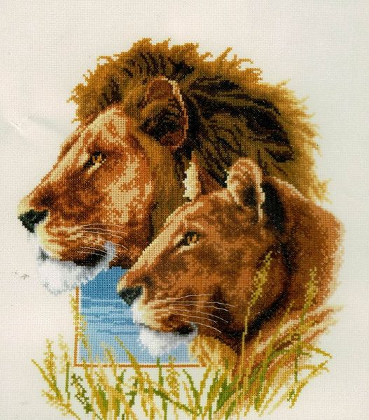 Lion Duo