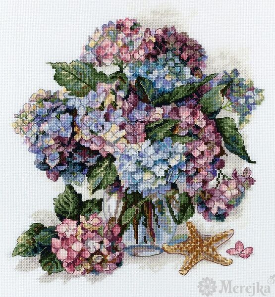 Hydrangea