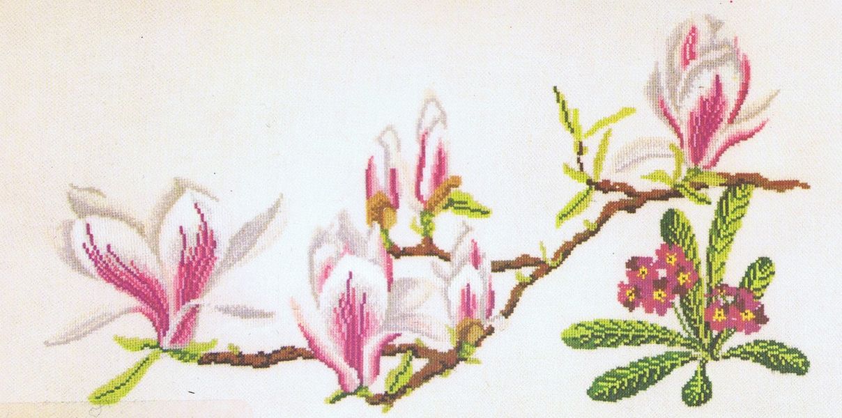 Magnolia and Primula