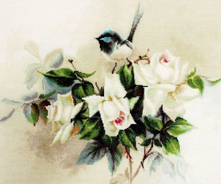 Little Bird on White Roses