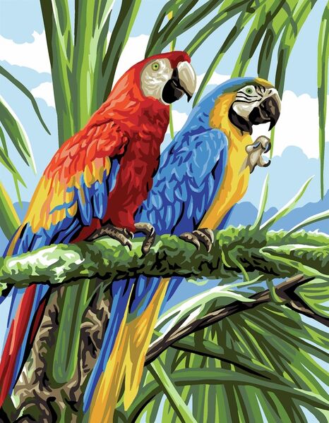 Macaws