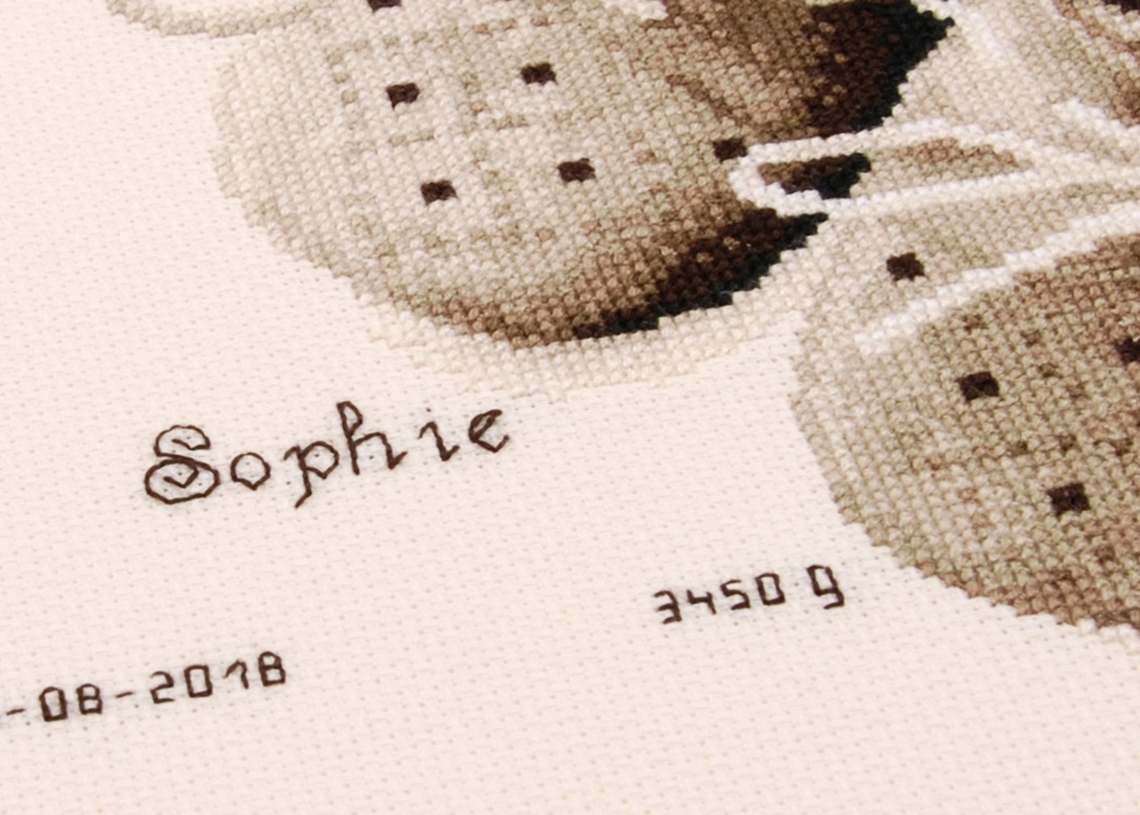 Birth Record: First Shoes (view 2)