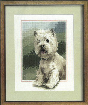 Westie