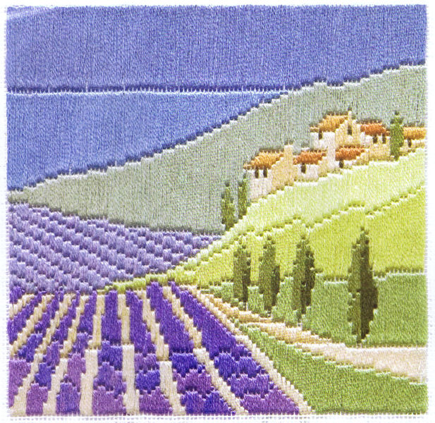 Lavender Fields