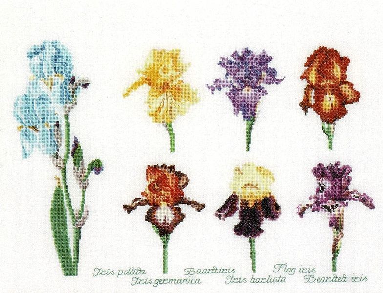 Iris Panel