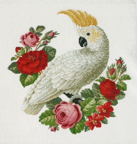 Cockatoo and Flowers