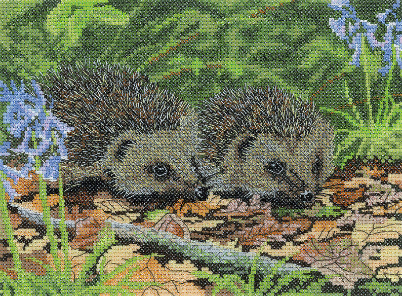 Hedgehogs in Spring