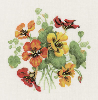 Nasturtium Posy