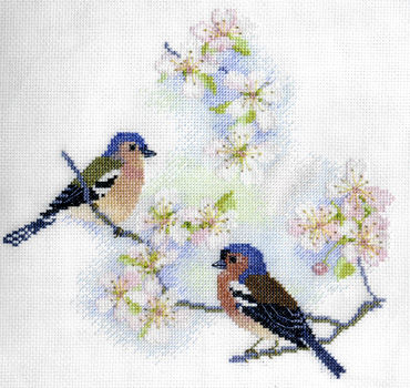 Chaffinches and Blossom